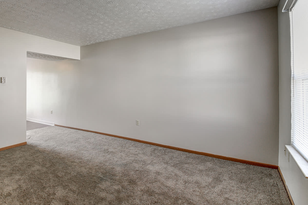 Photos and Video of Willow Greene in Bridgeport, WV